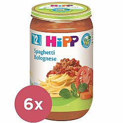 6x HiPP BIO Špagety boloňské od 12. měsíce, 250 g